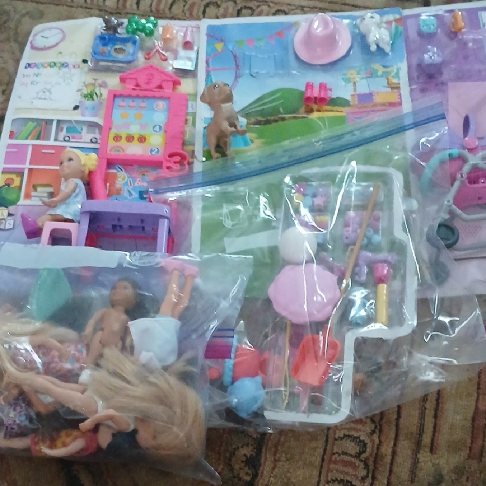 Colorful Doll Playset with Accessories
